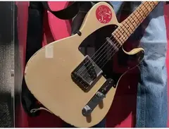 Fender "Torucaster" main image