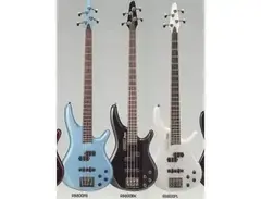 Ibanez Roadstar Bass RB800