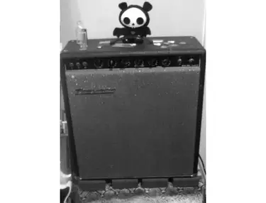 Traynor YGM Guitar Mate Reverb (1969)