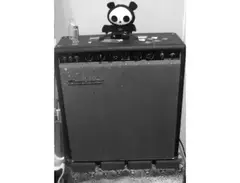 Traynor YGM Guitar Mate Reverb (1969) main image