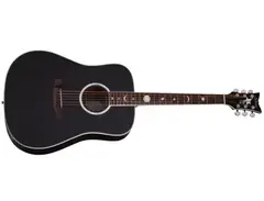 Schecter Guitar Research Robert Smith RS-1000