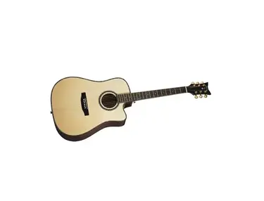 Schecter Guitar Research ORLEANS Acoustic Guitar