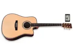 Zager ZAD900CE Acoustic Electric guitar main image