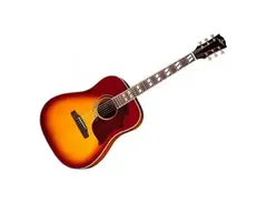 Stanford Guitars D-Bird-E Deja Vu main image