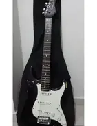 Texas Stratocaster main image
