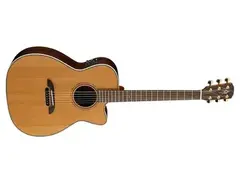 Alvarez Yairi WY-1