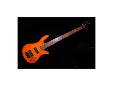 Spector Q5 Pro Bass Guitar