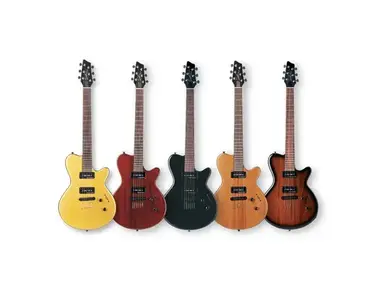 Godin LG P90