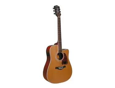 Richwood Artist series RD-17C-CE