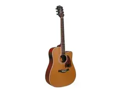 Richwood Artist series RD-17C-CE main image