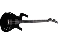 Parker Guitars Adam Dutkiewicz Signature Fly