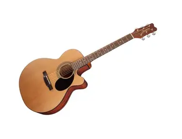 Jasmine S-34C Acoustic Guitar