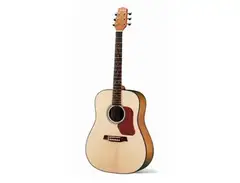 Walden Guitars D550 Dreadnought Guitar main image