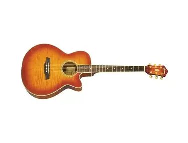 Ibanez AEG20II Cutaway Acoustic-Electric