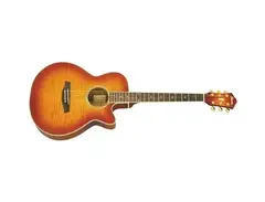 Ibanez AEG20II Cutaway Acoustic-Electric main image