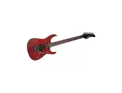 Fernandes FR55S