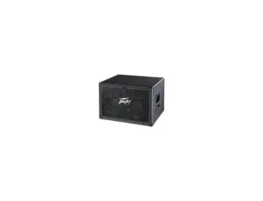 Peavey TVX 210
