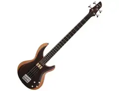 Aria Pro II IGB Rosie Bass main image