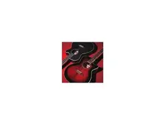 Ibanez AEQ-200T Electro Acoustic main image