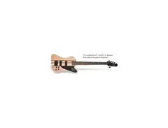 Epiphone Thunderbird PRO V 5-String Bass