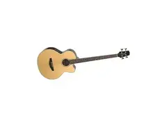 Takamine EG 512 c main image