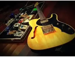 Thinline Handmade Mr. F Signature main image