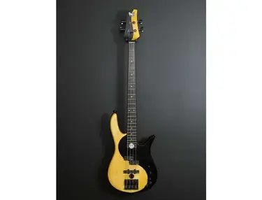 Fodera Yin Yang Standard II