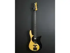 Fodera Yin Yang Standard II