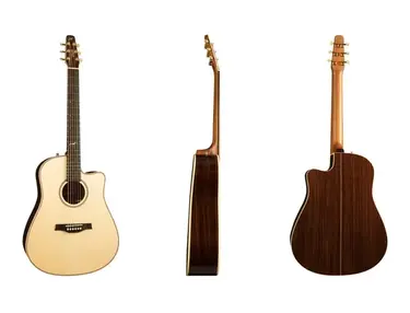 Seagull Artist Peppino Signature CW QII