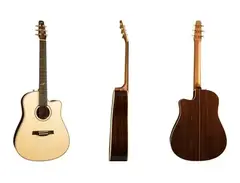 Seagull Artist Peppino Signature CW QII