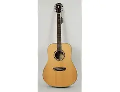 Washburn WD20S main image