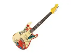 Vintage V6MRHDX Thomas Blug Summer of Love