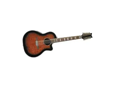 Schecter Guitar Research Diamond Series Elite 12