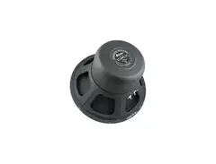 Jensen® Jets, 12", Blackbird, 100W