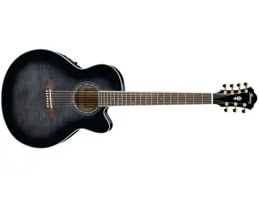 Ibanez AEL207E