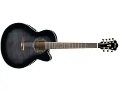 Ibanez AEL207E