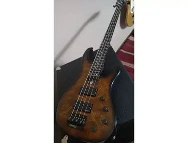 Gould i4 Bass Guitar