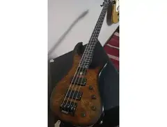 Gould i4 Bass Guitar main image