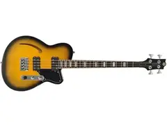Reverend Dub King