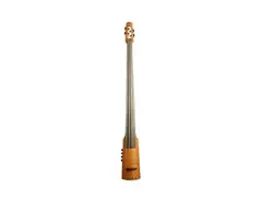 NS Design The CRT Double Bass