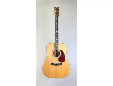 Martin D-40