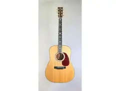 Martin D-40 main image