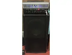 Carvin V3M + Custom Carvin-Celestion C212