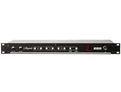Ampete 222 Midi Amp/Cabinet Switching System
