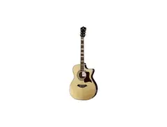 Harley Benton CLJ-503CE main image