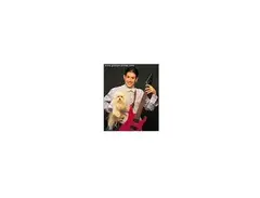 1998 Ibanez RG7 main image