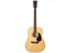 SX Guitars SD1 main image