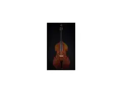 Thompson Plywood Upright Bass