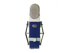 Blue Blueberry - What To Know & Where To Buy | Equipboard Blue Blueberry - What To Know & Where To Buy | Equipboard