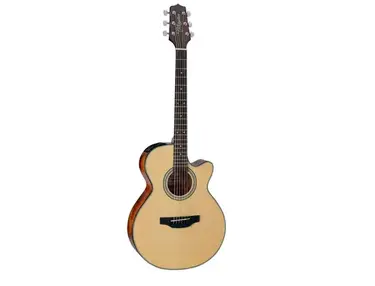 Takamine GF15CE